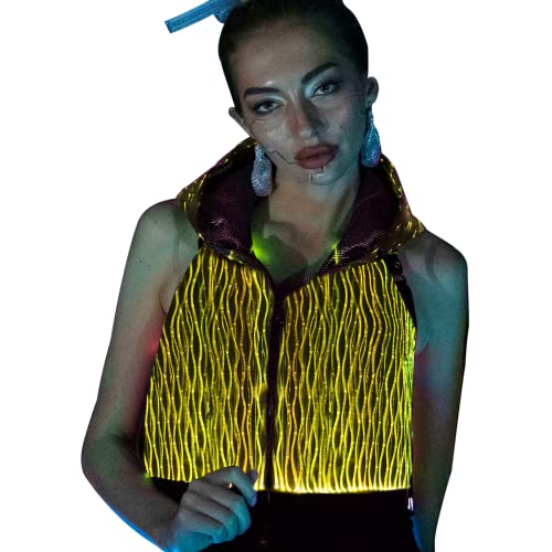 Women Sleeveless Hoodies Vest Light Up Tank Zip up Hooded Crop Tops Rave Outfits Music Festival LED Clothing