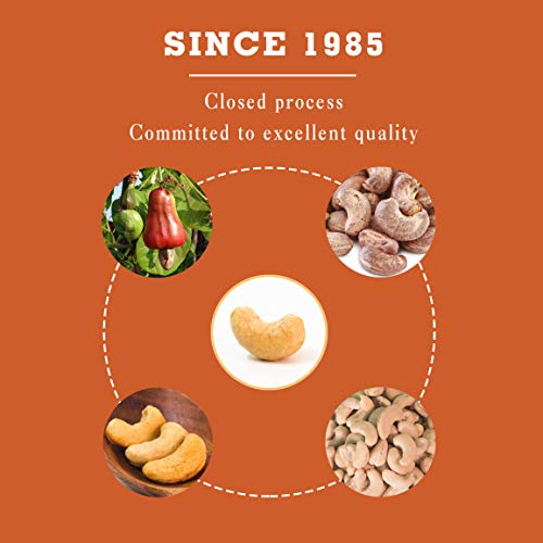 Image of LAFOOCO Honey Roasted Cashews 14.1 oz, Sweet Crunchy Party Nuts Gift | Whole cashews in a natural honey glaze. Halal & BRCGS certified Vietnamese nuts in a resealable jar. Sweet salty snack.
