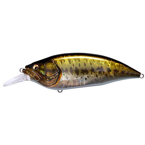 Megabass Big-M 4.0 Magnum Deep Diving Crankbait - Gg Largemouth #TOP3
