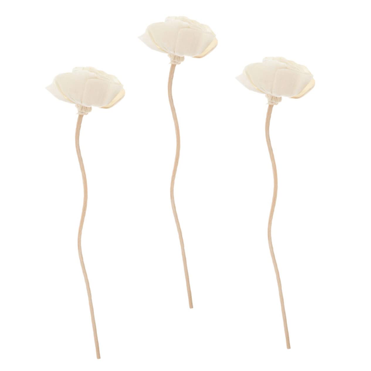 STOBAZA 15stücke Teiliges Duftstäbchen Aus Naturmaterialien Für Raumduft Und Aromatherapie Deko Für Zuhause Für Verbesserte Atmosphäre Und Luftfrische