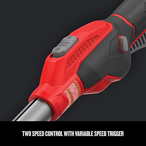 Craftsman V20 WEEDWACKER Cordless String Trimmer with Quickwind, 13Inch (CMCST920D2) Grey