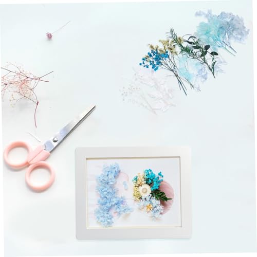 Kit de flores secas naturales para manualidades DIY miniatura 5