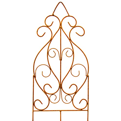 Blümelhuber Enrejado de metal para balcón y jardín, decoración de balcón, protección visual, jardín, decoración vintage de jardín, figuras Cover