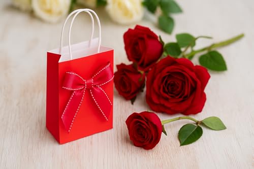 Image of SUNCOLOR 24-Pack Red Gift Bags with Handles, 8 inch Kraft Paper Goodie Bags for Christmas, Valentine's Day, Birthday Party Favors