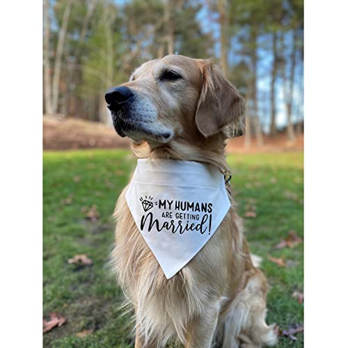 My Humans Are Getting Married Dog Bandana, Engagement Dog Bandana, Pet Scarf, Engagement Photo, Wedding Dog Bandana With Adjustable Collars For Small Medium Large Dogs Cats Pet (Large, White) #TOP3
