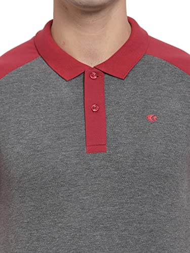Image of Allen Cooper Polo Tshirts for Men