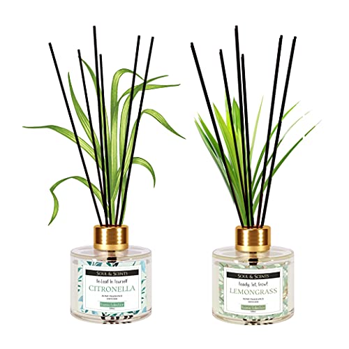 Image of Soul & Scents Citronella & Lemongrass Reed Diffuser Set - 120ml with 6 Fiber Sticks Each | Stress Relief & Aromatherapy | Scented Air Freshener for Home, Bedroom, Bathroom & Office | Pack of 2