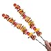 Brochettes de barbecue, ensemble de panneaux de barbecue en acier inoxydable, barbecue plat 12 brochettes, aiguille de barbecue pour barbecue Party Essentials (15inch)