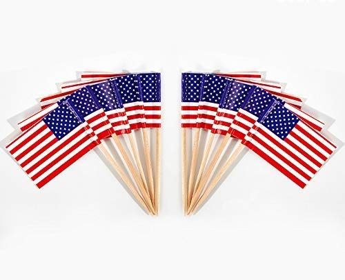 JAVD CYPS 100 Pcs USA American Flag US Toothpick Flags, Small Mini Stick Cupcake Toppers US Flags,4th of July,Veterans Day,Country Picks Party Decoration Celebration Cocktail Food Bar Cake Flags