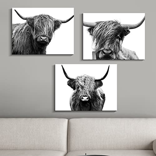 Gardenia Art Scottish Cow Canvas Print Animal Painting Wall Art For Living Room Pet Shop Zoo Decoration 12X16 Inch/Piece, Framed, 3 Panels #TOP3