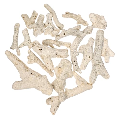 YARNOW XΒꍻ pVRtB^[ ^Nh߃Xg[ Ϗ܋̒ꏰ W CΉ _J[ _