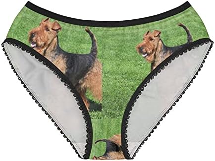 DogsMakeMeHappy Typical Welsh Terrier Panties, Typical Welsh Terrier Underwear, Briefs, Cotton Briefs