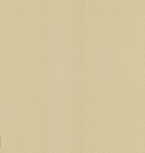 Papier peint texturé masquant les défauts muraux motif volutes