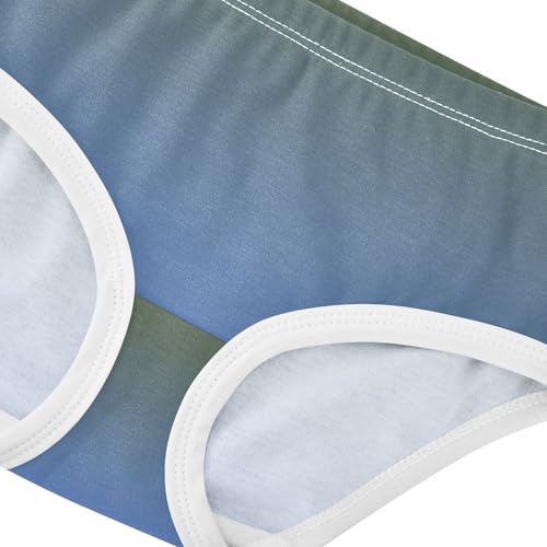 Joisal Ombre Salvia Blue Gradient Toddler Girls Underwear 2t Cotton Panties for Girl Durable Kids Briefs Undies4