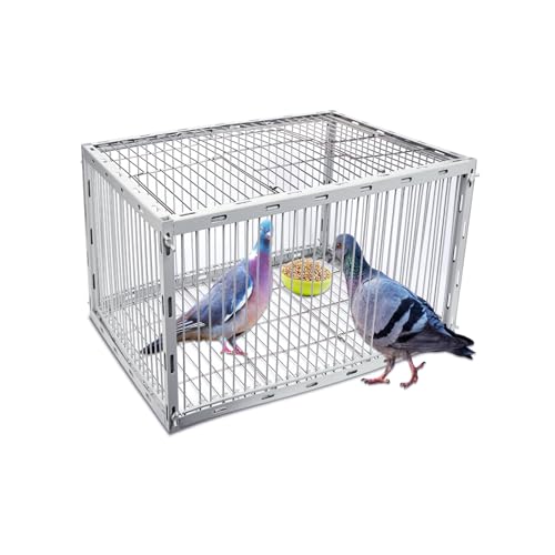 Pigeon Trap Cage with Escape-Proof Design – Auto Bird Trap Cage for Pigeons and Small Birds | Multi-Catch Pigeons Birds Traps for Sale with Well Anti-Rust Baking Paint-S Size