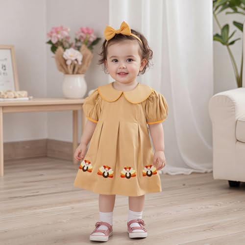 Toddler Baby Girl Thanksgiving Outfit Turkey Embroidery Short Sleeve Peter Pan Collar Smocked Dress Infant Clothes2