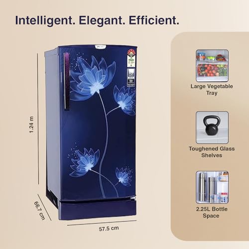 Image of Godrej 180 L 5 Star Inverter, Jumbo Vegetable Tray Direct Cool Single Door Refrigerator With Base Drawer(RD 190E PTDI GL BL, Glass Blue)