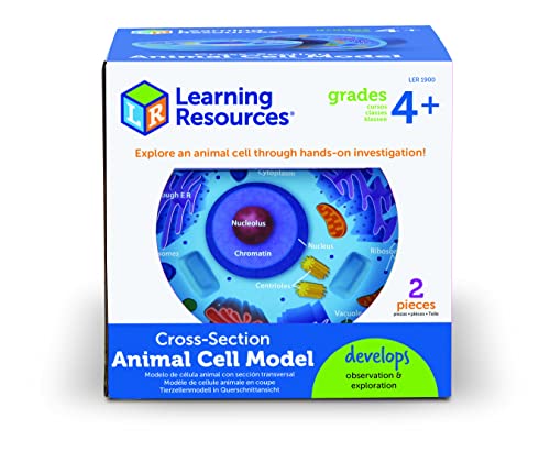 Image of Learning Resources Cross-Section Animal Cell Model