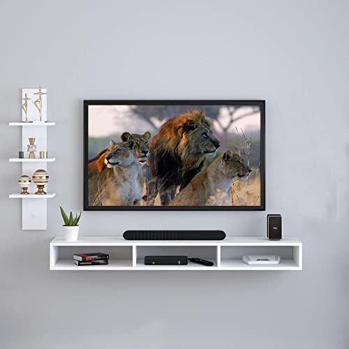 Image of Redwud Oscar Wooden TV Entertainment Unit /Set Top Box Stand /TV Cabinet for Wall /Living Room (White), 25 cm , 120 cm , 82 cm