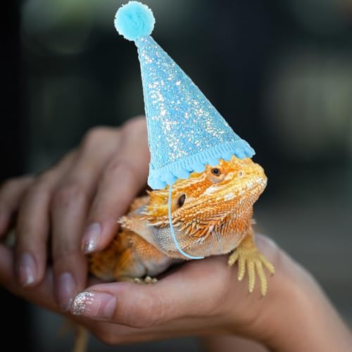 Gorro para dragón barbudo Kisangel tamaño pequeño miniatura 5