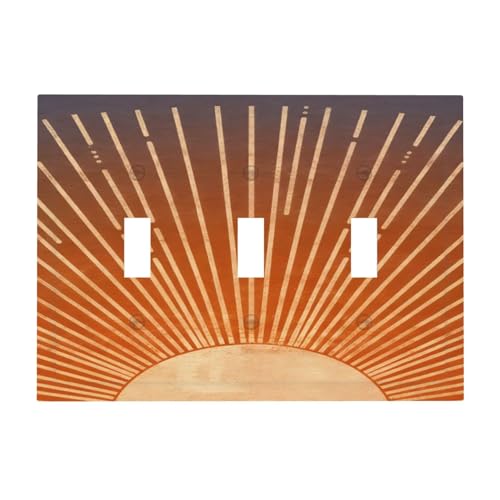 Plaque d'interrupteur électrique pour harmoniser vos murs