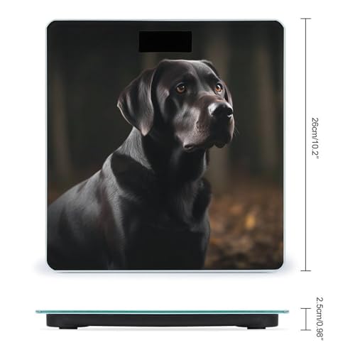 Báscula Digital de Baño Black Labrador en Vidrio Templado miniatura 2