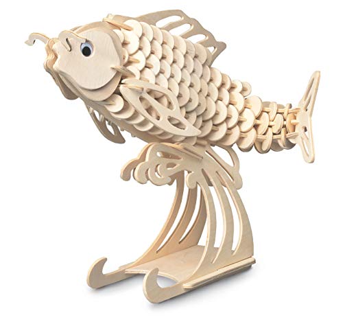 Quay Carpe, Kit de Construction en Bois FSC