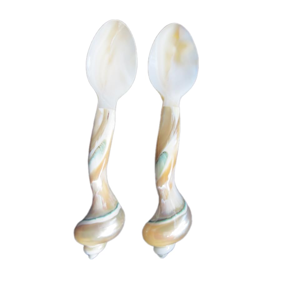 Set of 02 Spoons Shell Spoon Mother of Pearl Caviar Spoons W Round Handle for Caviar, Egg, Ice Cream, Coffee, Restaurant Serving (2 Pieces,7 Inches)