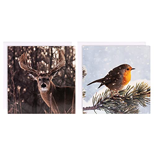 Hallmark Paquete de tarjetas de Navidad benéficas – 10 tarjetas en 2 diseños de colección de galería fotográfica