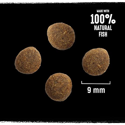 Crave Adult Trockenfutter mit Lachs & Weißfisch, 7kg (1 Beutel) – Premium Katzenfutter trocken mit hohem Proteingehalt und ohne Getreide – Hergestellt mit 100 Prozent natürlichem Fisch