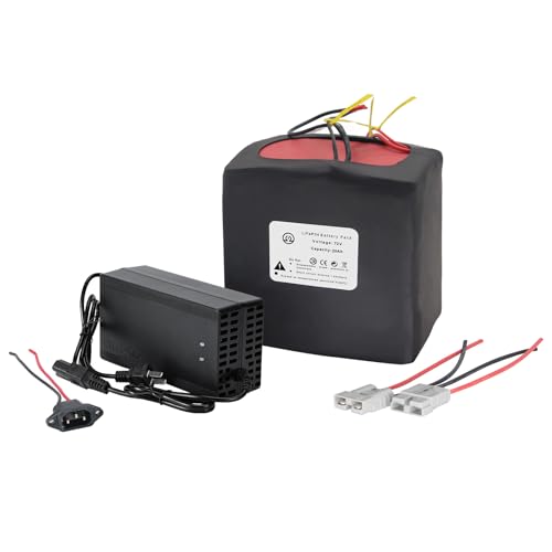 BtrPower 72V Lithium Lifepo4 E-Bike Battery, 20Ah LiFePO4 Lithium Battery