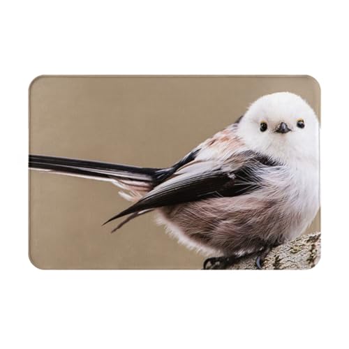 ���փ}�b�g�V�}�G�i�K���킢�����A�j�������}�b�g�z�������R�ۖh�L�o�X�}�b�g�z������~�ߖh�J�r�������L���o�X���[���L�b�`���l�G���p�J�[�y�b�g���킢���v���[���g40×60cmR5T6Y59