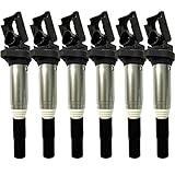 Take Ao Set of 6 Ignition Coil Pack 0221504470 Compatible with BMW 325i 325Ci 325xi 330i 330Ci 330xi 525i 530i 650i 745Li 750i 760i X3 X5 M5 M6 Z4 Mini Cooper and more