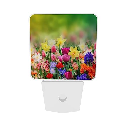 Lámparas de noche LED con sensor automático 2 piezas miniatura 6