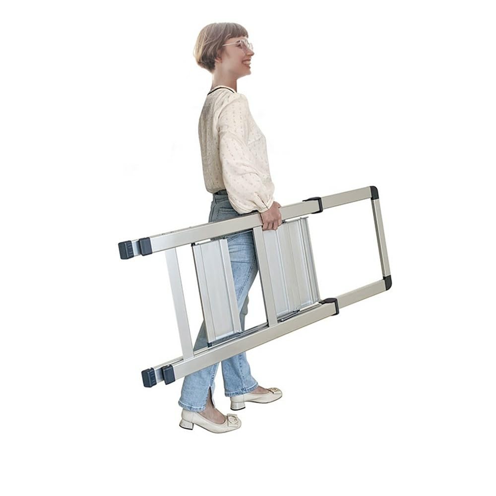 Marchepied 2 marches alu Pro Extra-Slim Gris