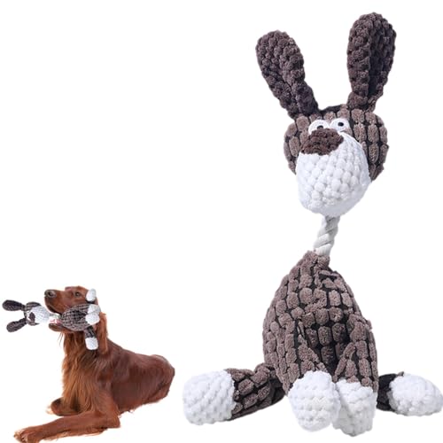 Lifetips ACbVEZb^[iIrish Setterj pʂ  XNC[J[ JVJV {AR[fC y v @OK ^ q VjA XgX p pʂ  XNC[