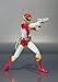 TAMASHII NATIONS Bandai S.H. Figuarts Red Hawk - Choujin Sentai Jetman
