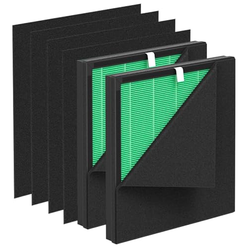 Filtre à air ET066 compatible Evalit filtre de rechange charbon