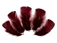 Algopix Similar Product 20 - 14 Lb  Burgundy Dyed Turkey TBase
