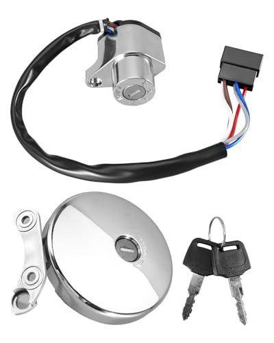Ignition Lock Fuel Gas Cap Key Set with 2 Keys Fit for Kawasaki VN800 Vulcan 800 Classic Drifter 2001 2002 2003 2004 2005 2006, Replace 27005-1188