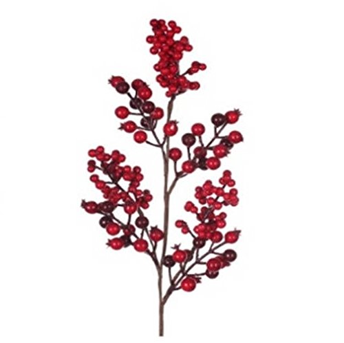 branche de houx Décoration de Noël