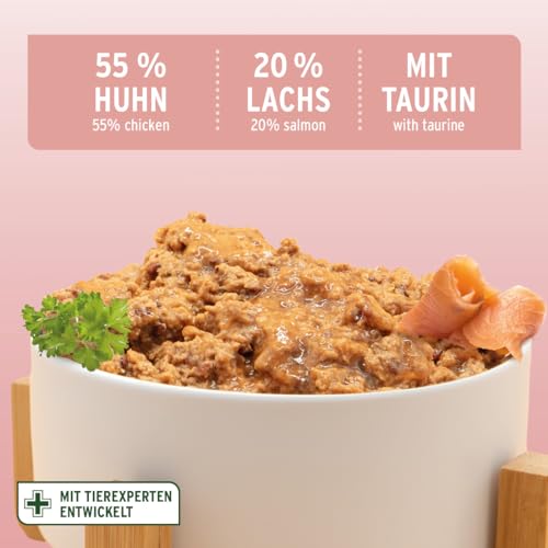 AniForte Fish & Chicken Nassfutter für Katzen 6 x 400 g – Natürliches Katzenfutter nass getreidefrei, viel frisches Lachs & Huhn, Katzennassfutter getreidefrei, Futter für Katzen, Wet cat Food