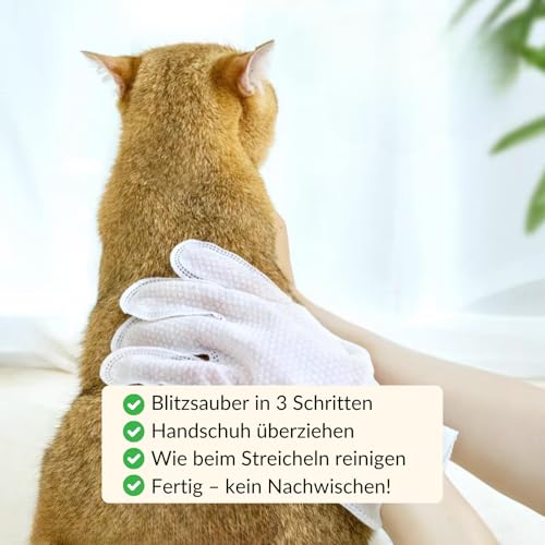 RumbleBox Feuchttücher für Katzen & Hunde, Handschuh-Feuchttücher für Haustiere, Sanfte Fellpflege, Reinigung & Massage, Optimal für Outdoor-Katzen, präzise Reinigung mit Handschuhform
