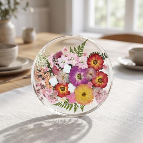 48 piezas de flores y hojas naturales secas prensadas miniatura 5