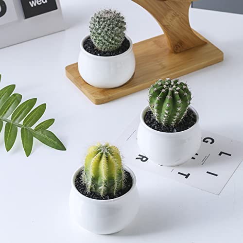 Xxyxxy 3 Cute Teapot Mini Succulent Flowerpots Ceramic Flowerpots Decorative Home Desk, Mini Shaped Pots And Bamboo Brackets #TOP3