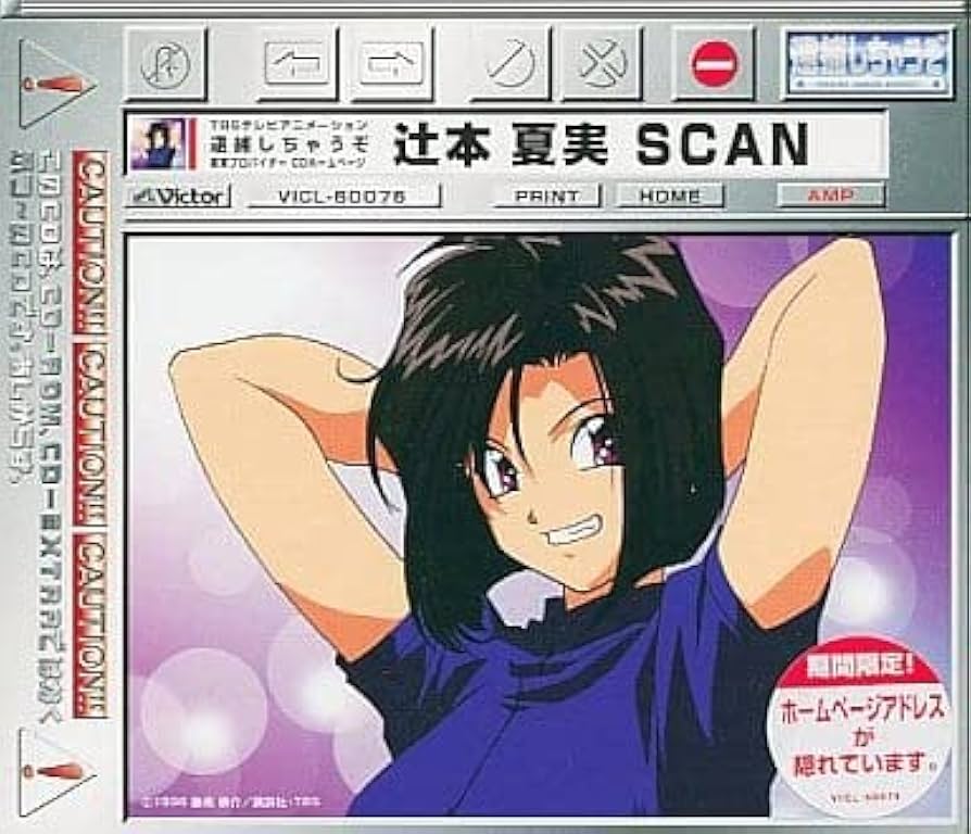 Amazon.co.jp: 「逮捕しちゃうぞ」～墨東プロバイダーCD