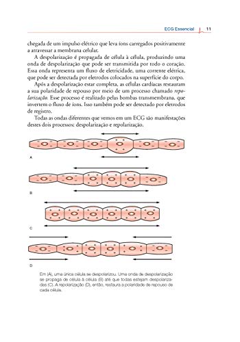 ECG Essencial: Eletrocardiograma na Prática Diária