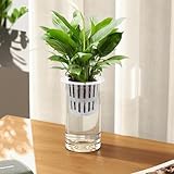 Olrla B0CZRFDLDC lato 4