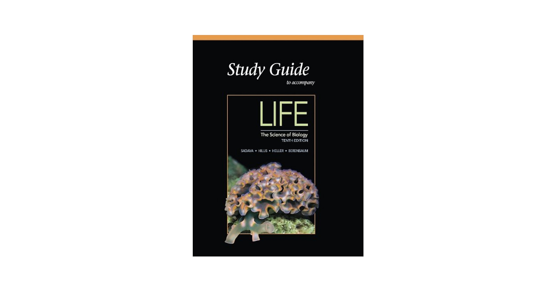 洋書 LIFE: The Science of Biology Amazon.com: Life: The Science of Biology: 9781319017644