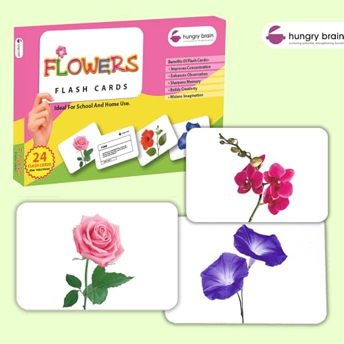 Image of Hungry Brain Flowers Baby Flash Cards 3 Months+ | Montessori Learning Cards for Toddlers | Early Brain Development Toy | Improve Vocabulary, Memory & Cognitive Skills | Educational Gift for Kids